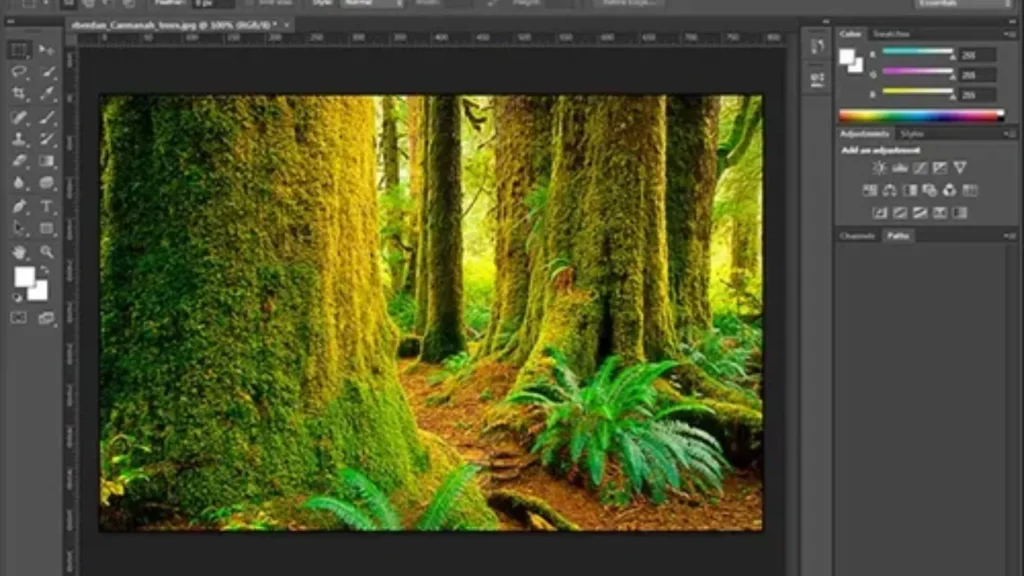 CS6 photoshop software